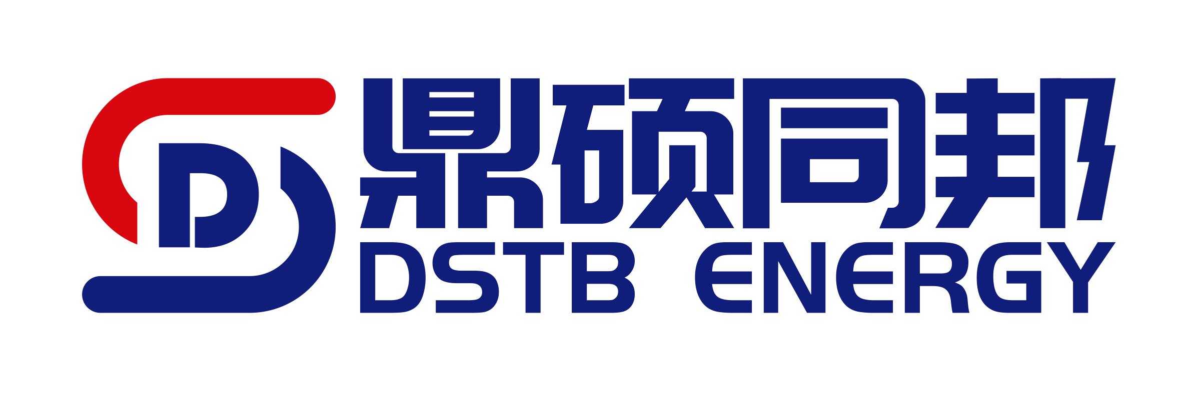鼎硕同邦logo